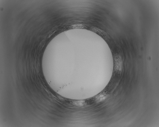 X0000067890618200605041554