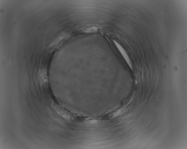 X0000067890620200605041554