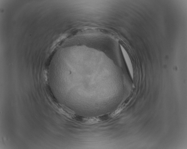 X0000067890621200605041554