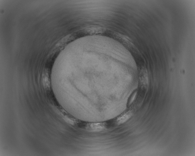 X0000067890622200605041554