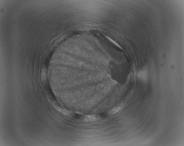 X0000067890623200605041554