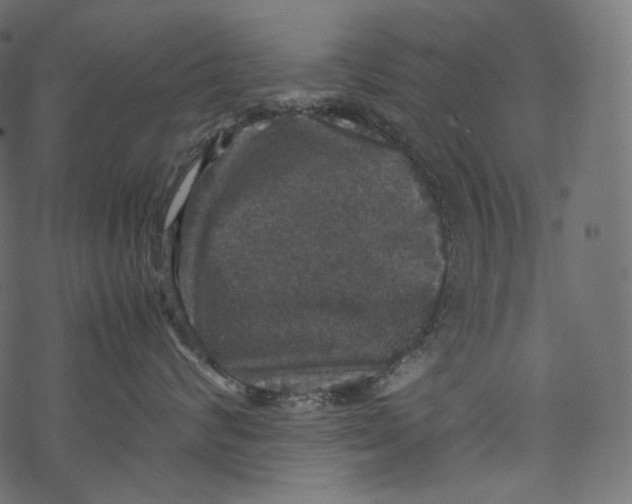 X0000067890624200605041554