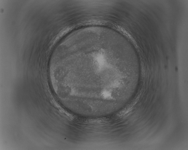 X0000067890625200605041553