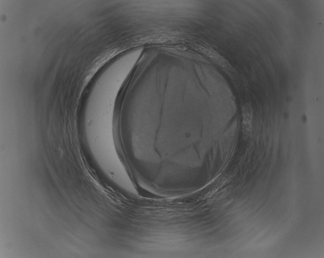 X0000067890626200605041553