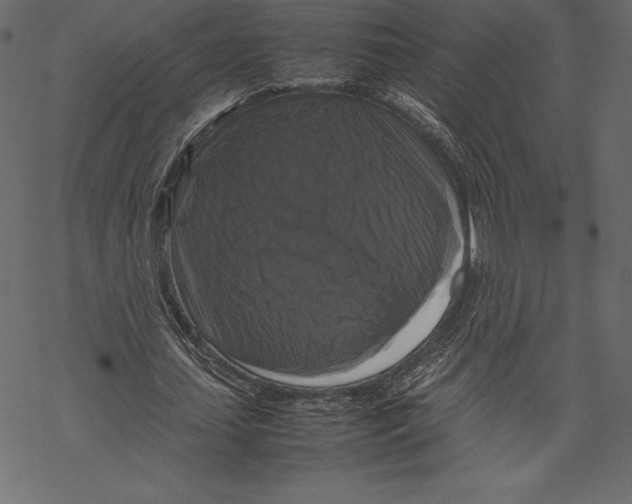 X0000067890627200605041553