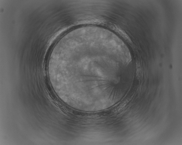 X0000067890628200605041553