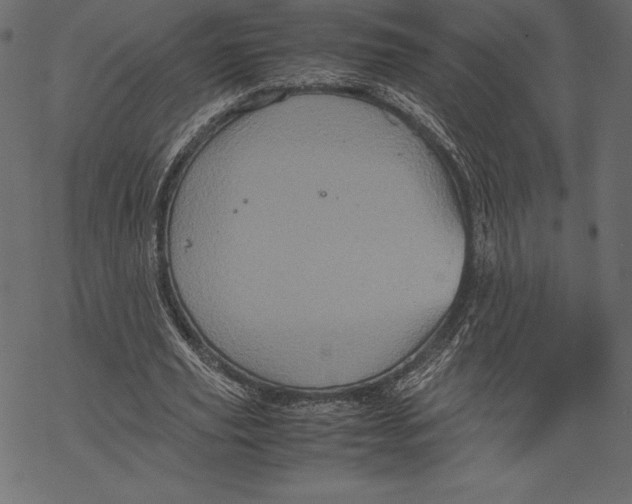 X0000067890629200605041553