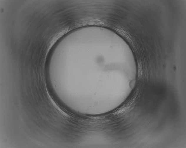 X0000067890630200605041553