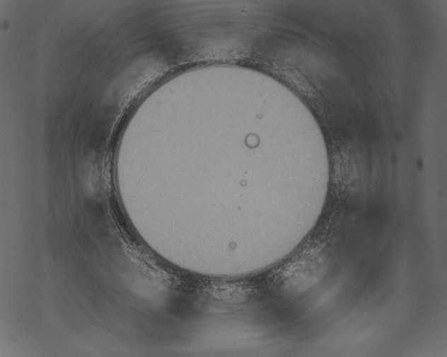 X0000067890632200605041553