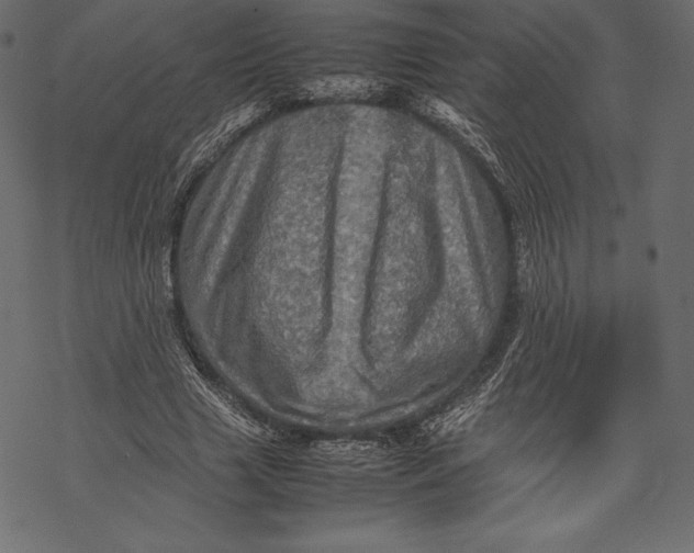 X0000067890633200605041553