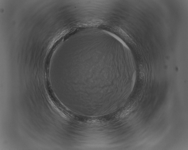 X0000067890634200605041553