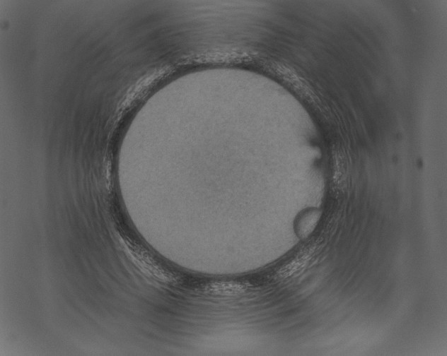 X0000067890636200605041553