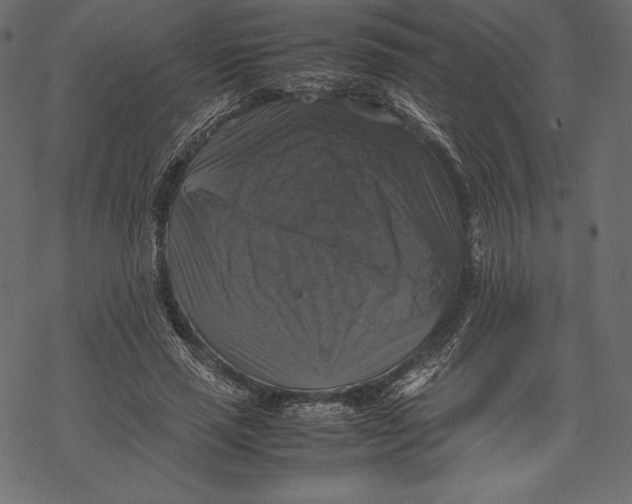 X0000067890637200605041553