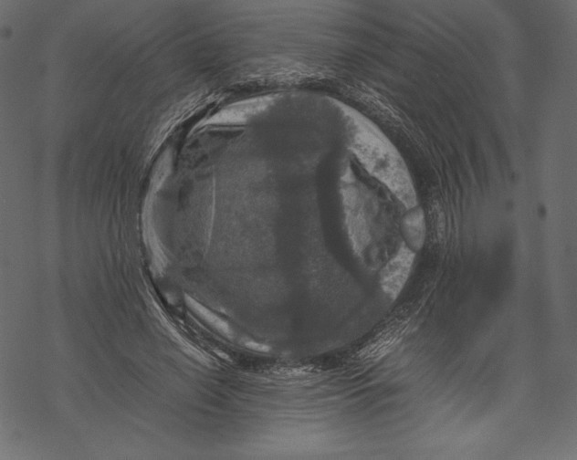 X0000067890638200605041553