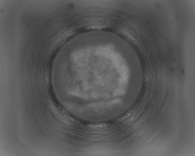 X0000067890639200605041553