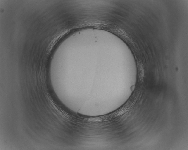 X0000067890640200605041553