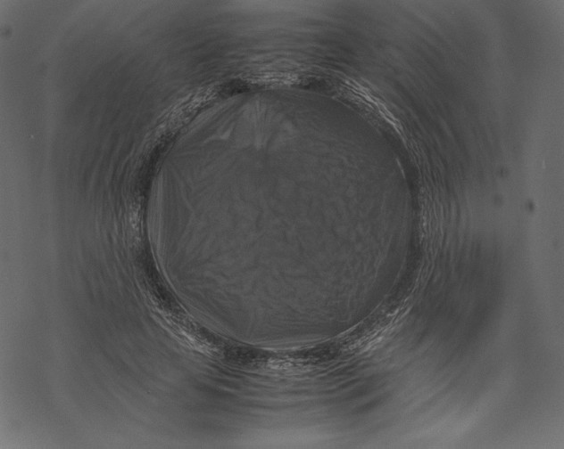 X0000067890641200605041553