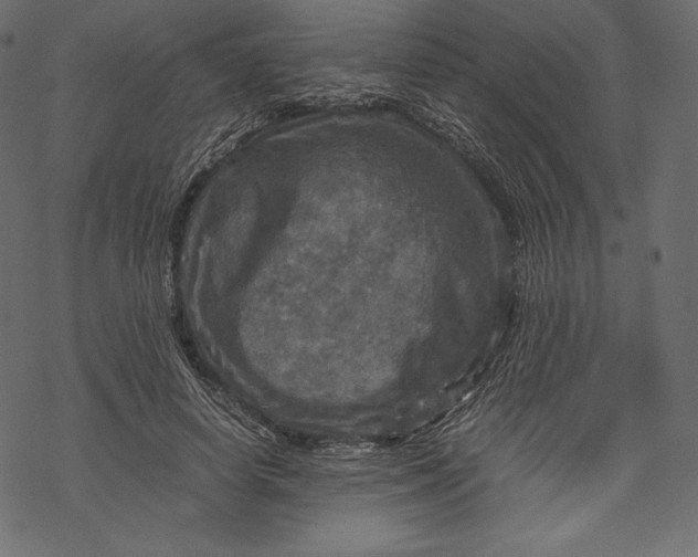 X0000067890642200605041553