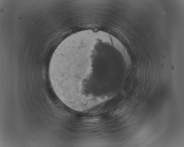 X0000067890643200605041553