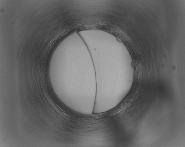 X0000067890644200605041553