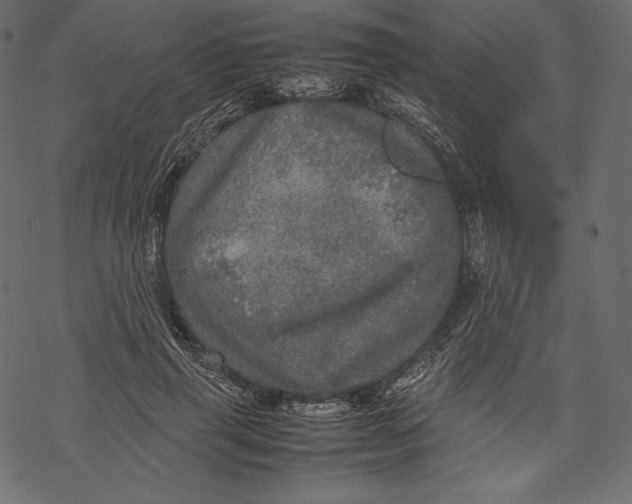 X0000067890645200605041553