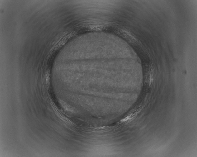 X0000067890646200605041553