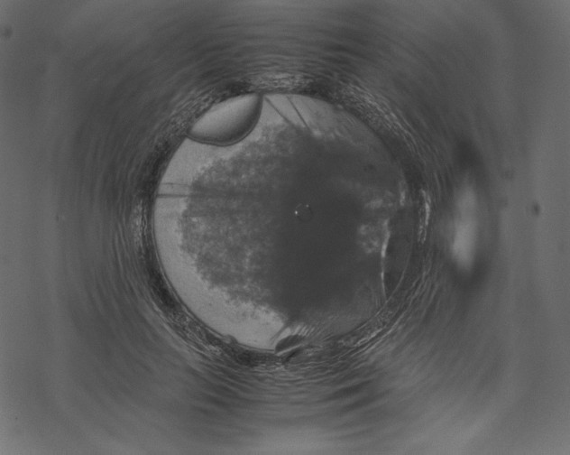 X0000067890647200605041553