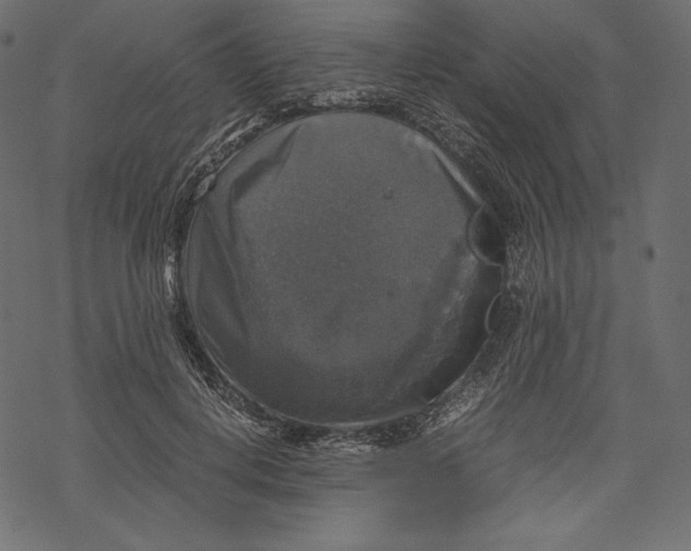 X0000067890648200605041553