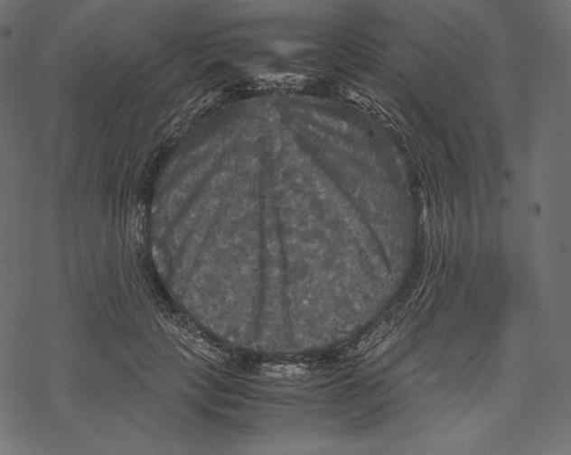 X0000067890649200605041553