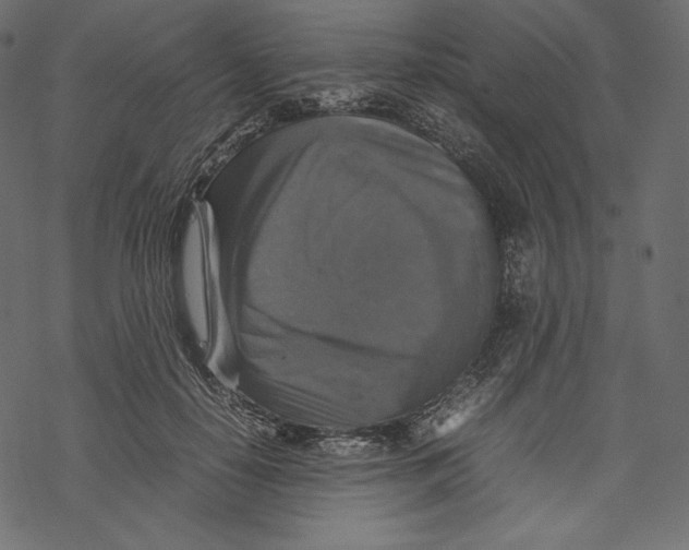 X0000067890650200605041553