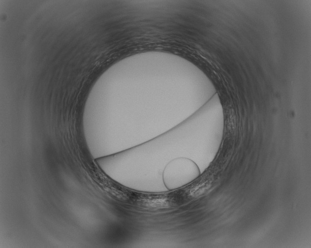 X0000067890651200605041553