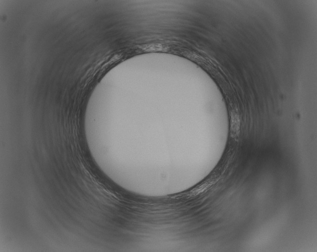 X0000067890652200605041553