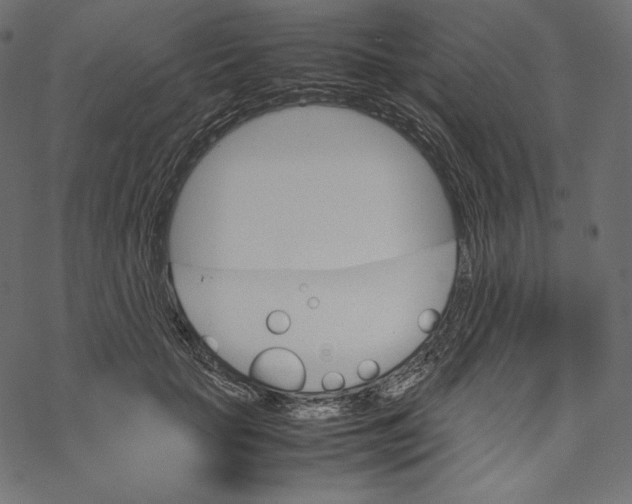 X0000067890653200605041553