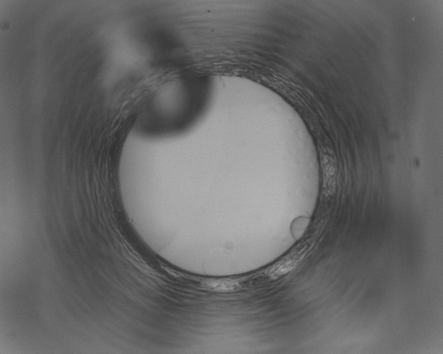 X0000067890654200605041553