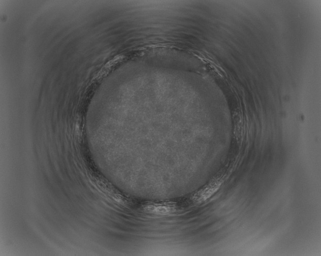 X0000067890655200605041553