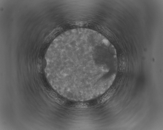 X0000067890656200605041554