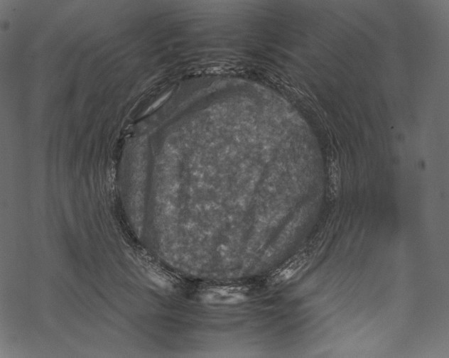 X0000067890657200605041554