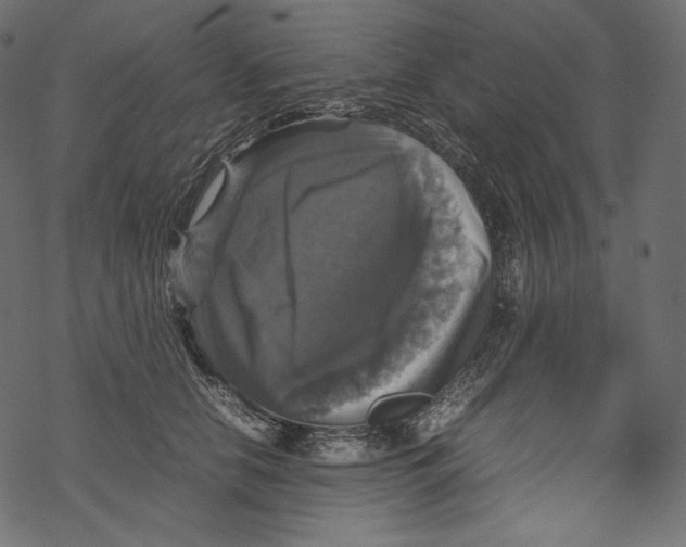 X0000067890658200605041554