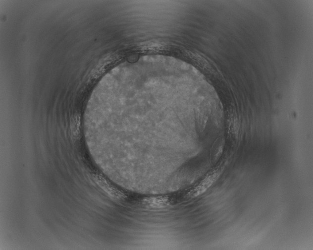 X0000067890660200605041554