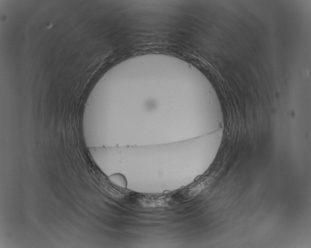 X0000067890661200605041554