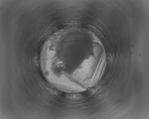 X0000067890663200605041554