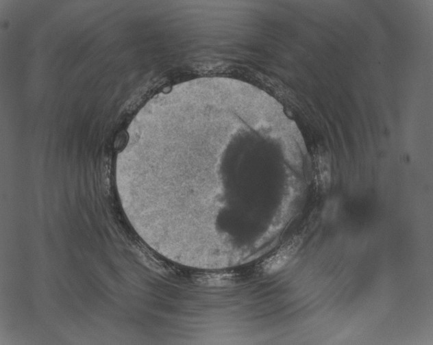 X0000067890664200605041554