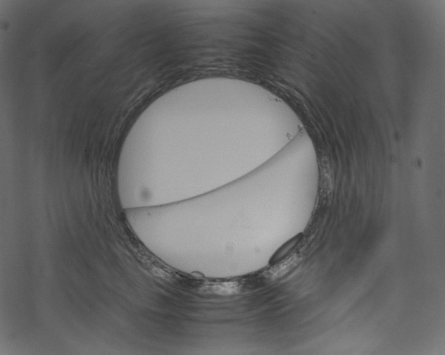 X0000067890665200605041554