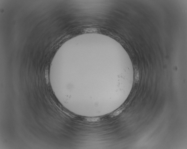 X0000067890666200605041554