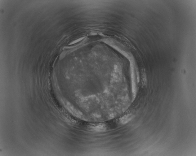 X0000067890667200605041554