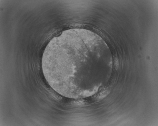 X0000067890668200605041554