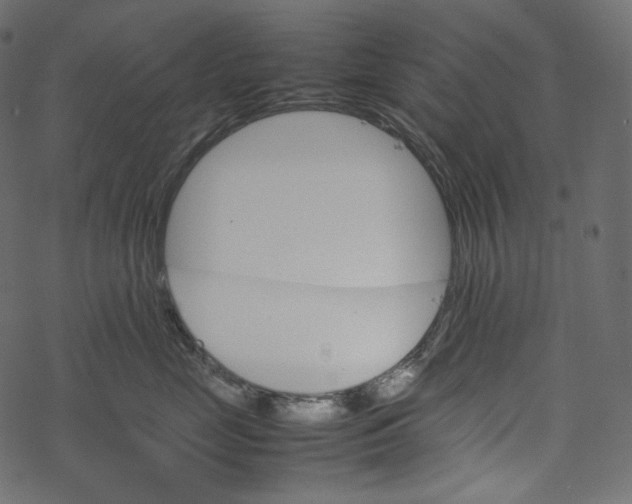 X0000067890669200605041554