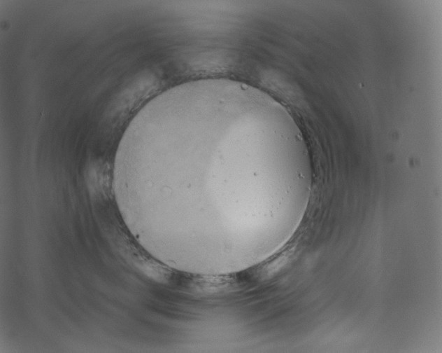 X0000067890672200605041554