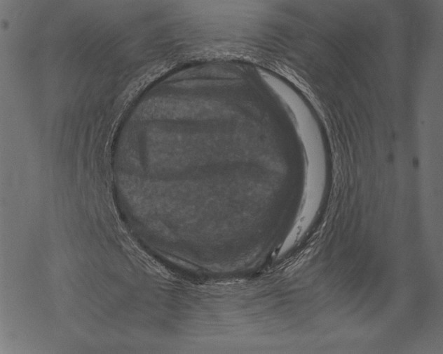 X0000067890673200605041553