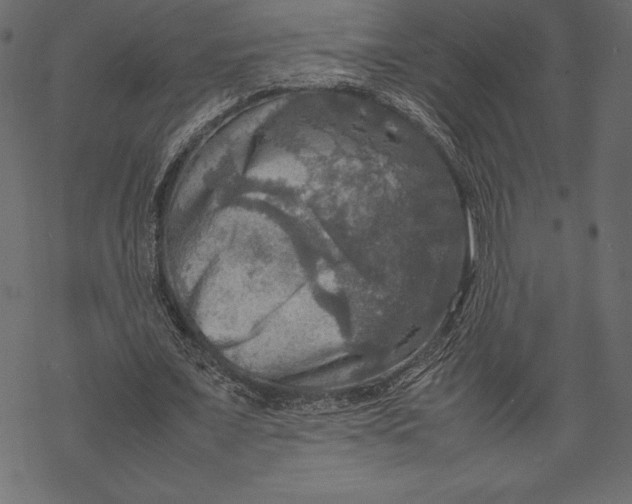 X0000067890675200605041553